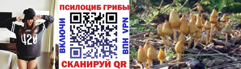 Псилоцибиновые грибы MAGIC MUSHROOMS  Еманжелинск 